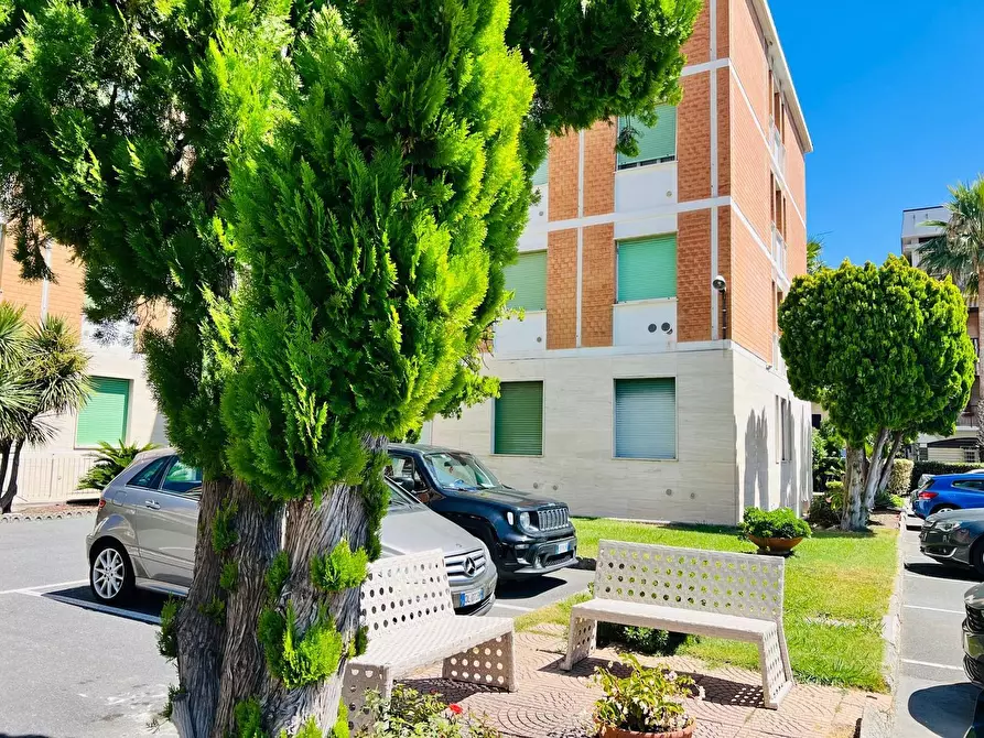 Immagine 2 di Cantina in vendita  in Aurelia 82 a San Bartolomeo Al Mare