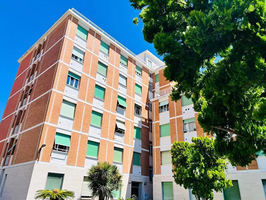 Immagine 3 di Cantina in vendita  in Aurelia 82 a San Bartolomeo Al Mare