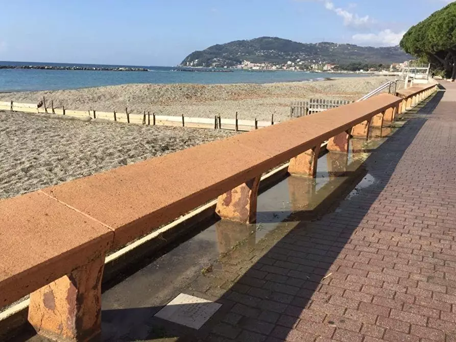 Immagine 6 di Cantina in vendita  in Aurelia 82 a San Bartolomeo Al Mare