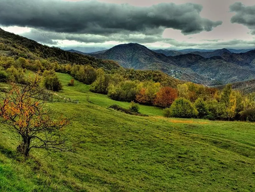 Immagine 21 di Villa in vendita  in Villaggio Borgonuovo 3 a Balestrino