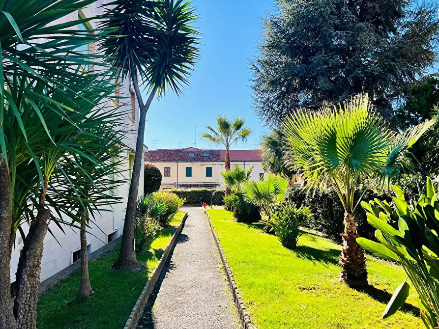 Immagine 21 di Appartamento in vendita  in Aurelia 84 a San Bartolomeo Al Mare