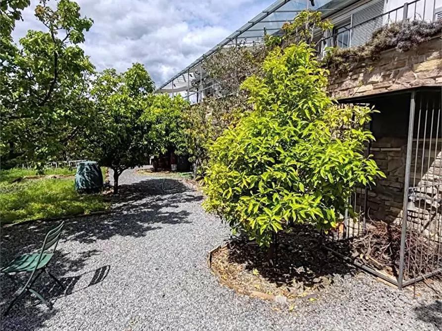 Immagine 23 di Villa in vendita  in Corso Theodore Roosevelt a Imperia