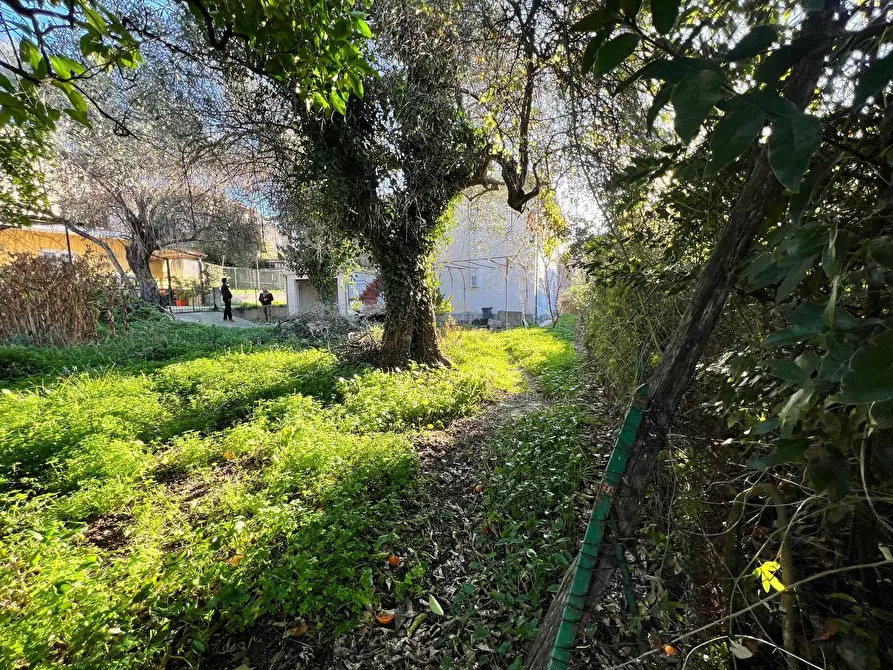 Immagine 36 di Villa in vendita  in Via Roma 6 a San Bartolomeo Al Mare