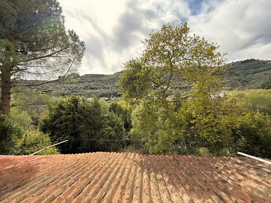 Immagine 32 di Villa in vendita  in Via XX Settmbre a Diano San Pietro