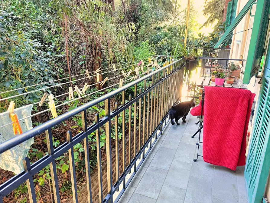 Immagine 18 di Appartamento in vendita  in Via Giacomo Matteotti 137 a Imperia