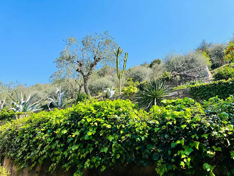 Immagine 11 di Appartamento in vendita  in Via Solitario delle Alpi a Cervo