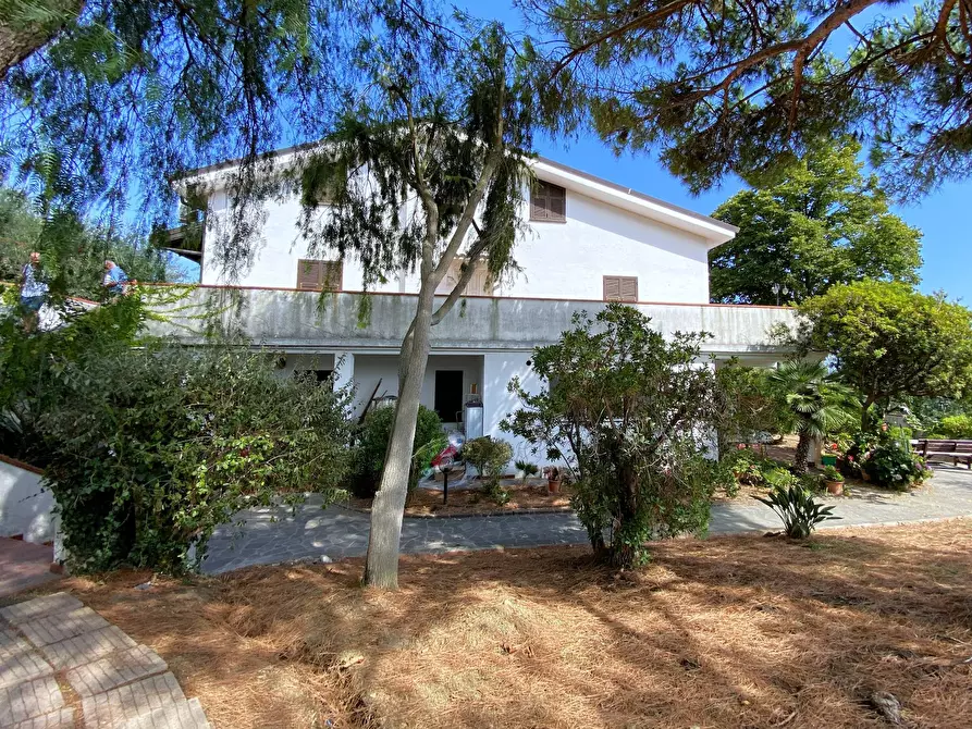 Immagine 46 di Casa semindipendente in vendita  in Strada Massabovi 13 a Imperia