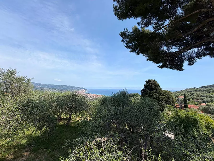 Immagine 9 di Villa in vendita  in Gorleri a Diano Marina
