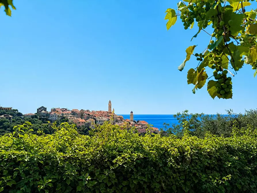 Immagine 1 di Villa in vendita  in Via Privata del Poggio 39 a Cervo