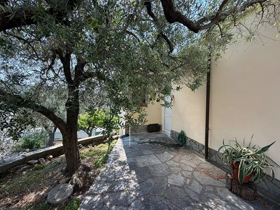 Immagine 4 di Villa in vendita  in Via Privata del Poggio 39 a Cervo