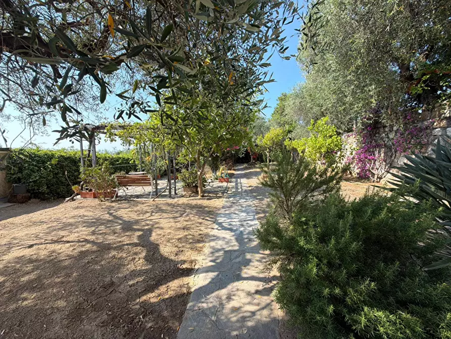 Immagine 11 di Villa in vendita  in Via Privata del Poggio 39 a Cervo