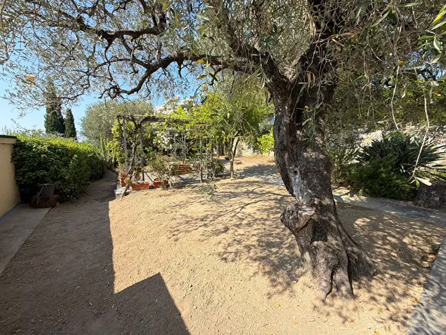 Immagine 12 di Villa in vendita  in Via Privata del Poggio 39 a Cervo