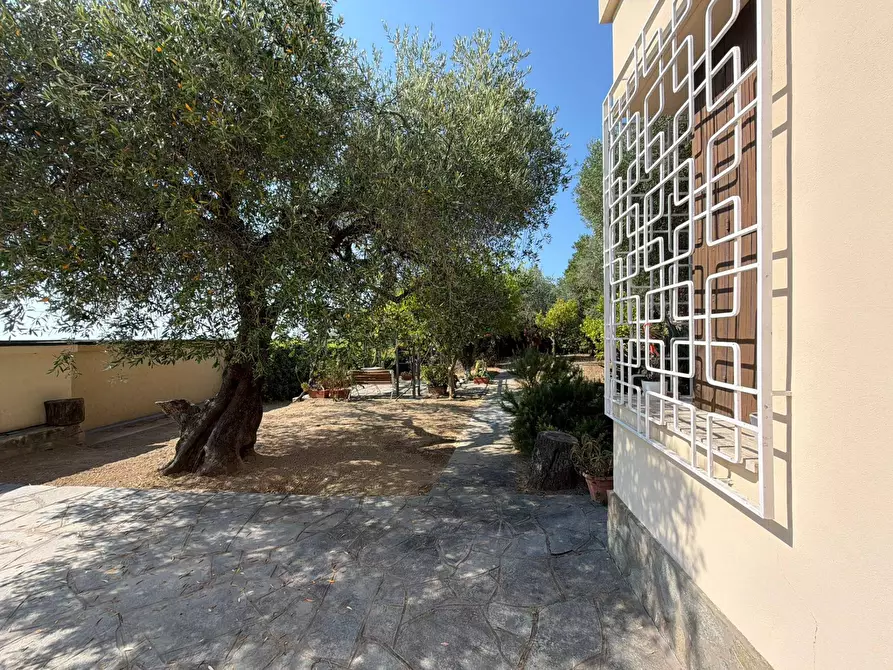Immagine 18 di Villa in vendita  in Via Privata del Poggio 39 a Cervo