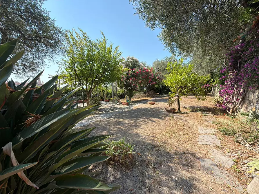 Immagine 20 di Villa in vendita  in Via Privata del Poggio 39 a Cervo
