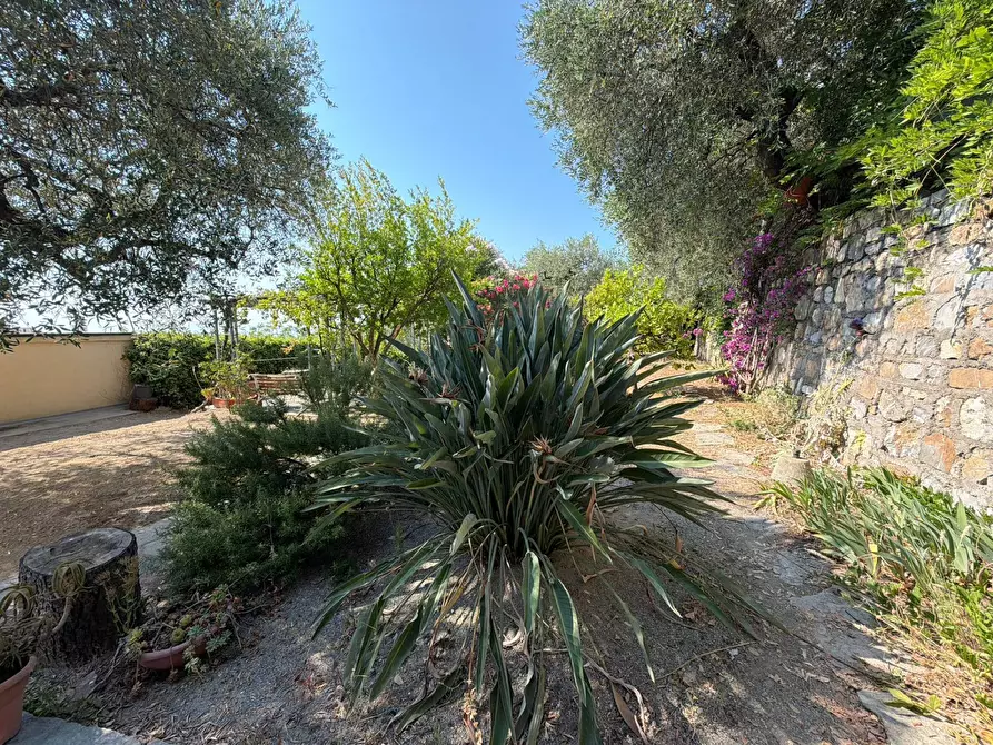 Immagine 25 di Villa in vendita  in Via Privata del Poggio 39 a Cervo