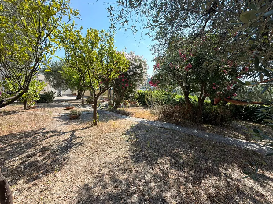 Immagine 27 di Villa in vendita  in Via Privata del Poggio 39 a Cervo