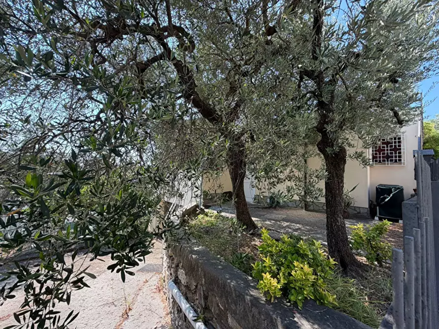 Immagine 32 di Villa in vendita  in Via Privata del Poggio 39 a Cervo