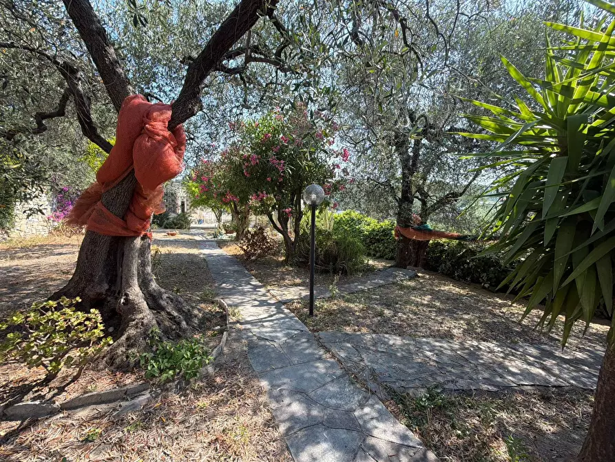 Immagine 33 di Villa in vendita  in Via Privata del Poggio 39 a Cervo