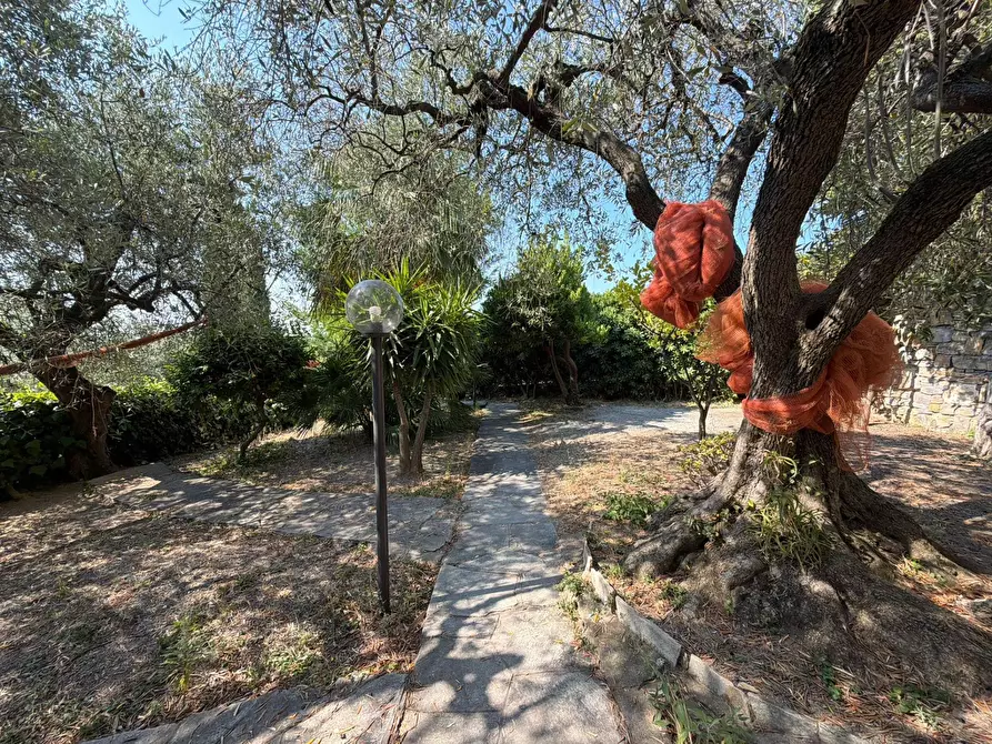 Immagine 34 di Villa in vendita  in Via Privata del Poggio 39 a Cervo