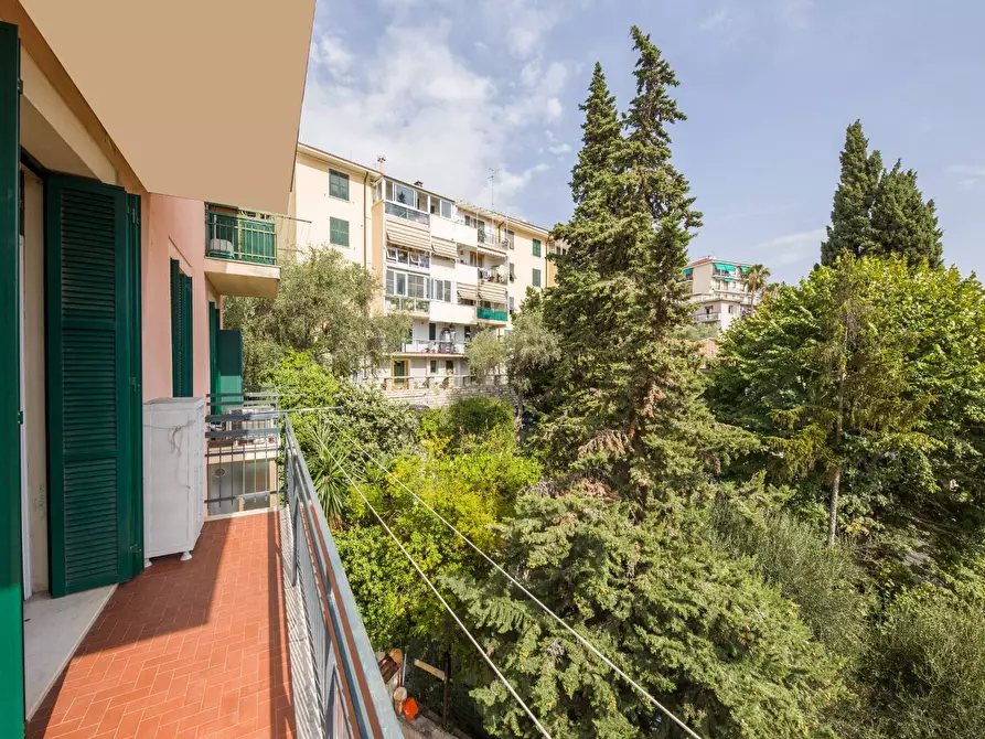 Immagine 11 di Appartamento in vendita  in Via Privata Risso 23 a Imperia