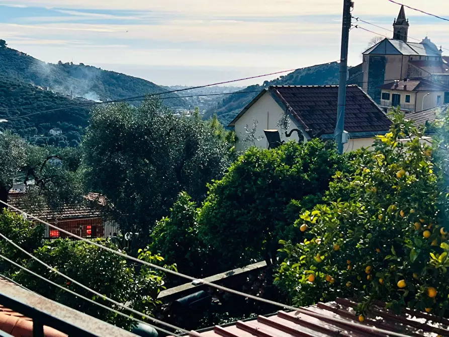 Immagine 15 di Appartamento in vendita  in Via Poggio 14 a Diano Arentino