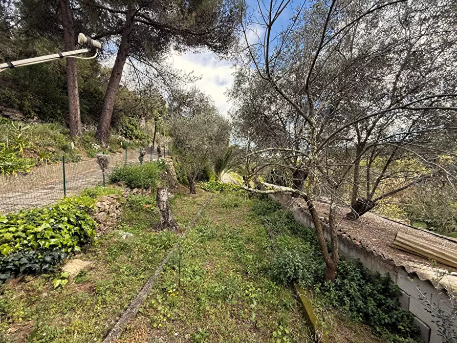 Immagine 6 di Casa indipendente in vendita  in Via XX Settembre a Diano San Pietro