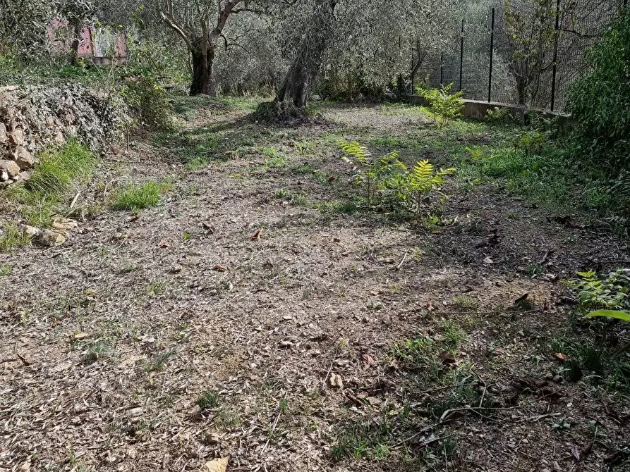 Immagine 5 di Villa in vendita  in Via Fanny Roncati Carli a Imperia
