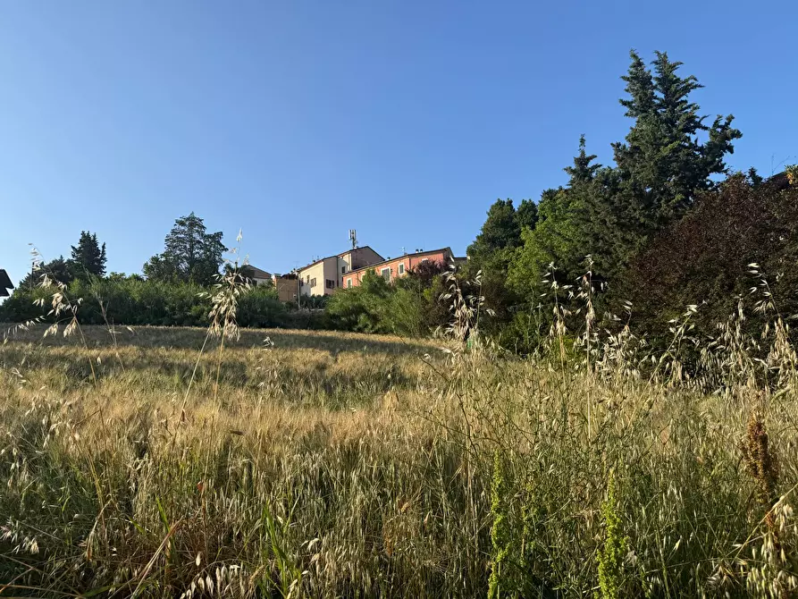 Immagine 3 di Locale commerciale in vendita  in via Piane Tronto snc a Ancarano