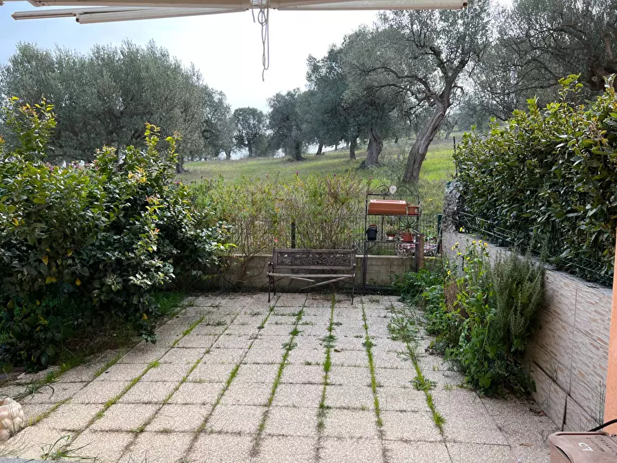 Immagine 26 di Locale commerciale in vendita  in VIA VASCELLO 9 a Tortoreto