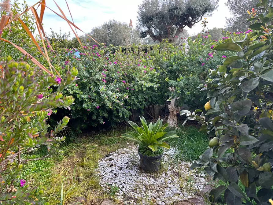 Immagine 30 di Locale commerciale in vendita  in VIA VASCELLO 9 a Tortoreto