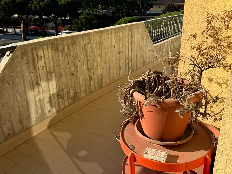 Immagine 28 di Locale commerciale in affitto  in Piazza Del Popolo 4 a Alba Adriatica