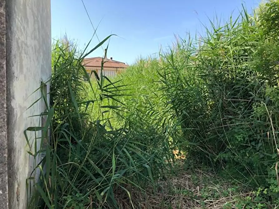 Immagine 3 di Terreno residenziale in vendita  in via dei mille 4 a Alba Adriatica