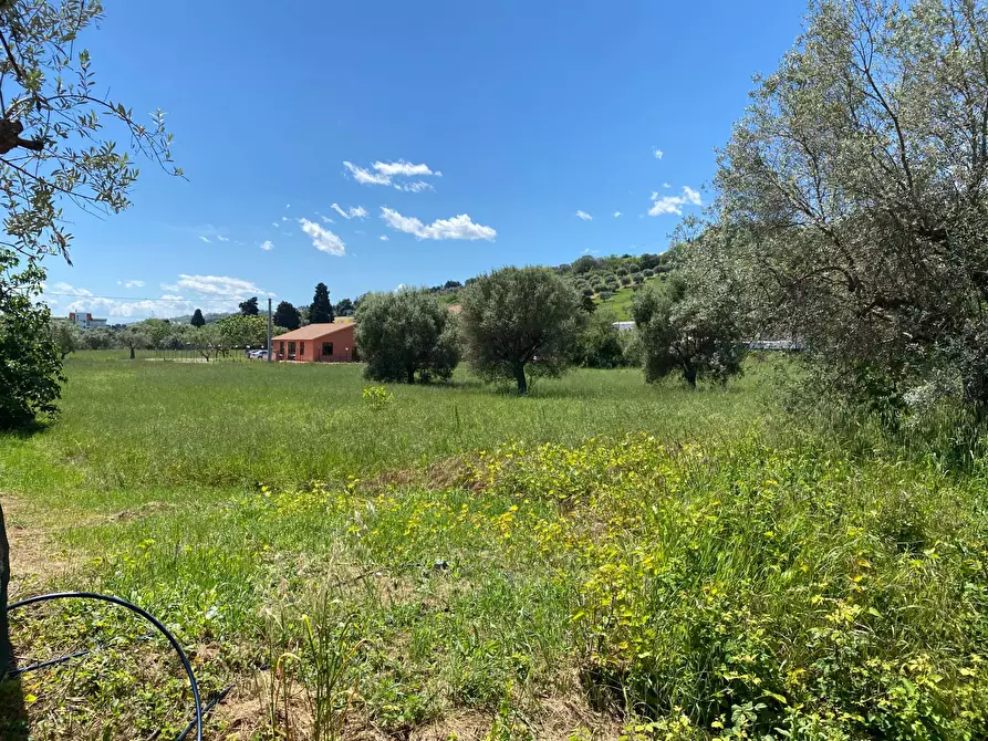 Immagine 7 di Terreno residenziale in vendita  in via dei mille 4 a Alba Adriatica