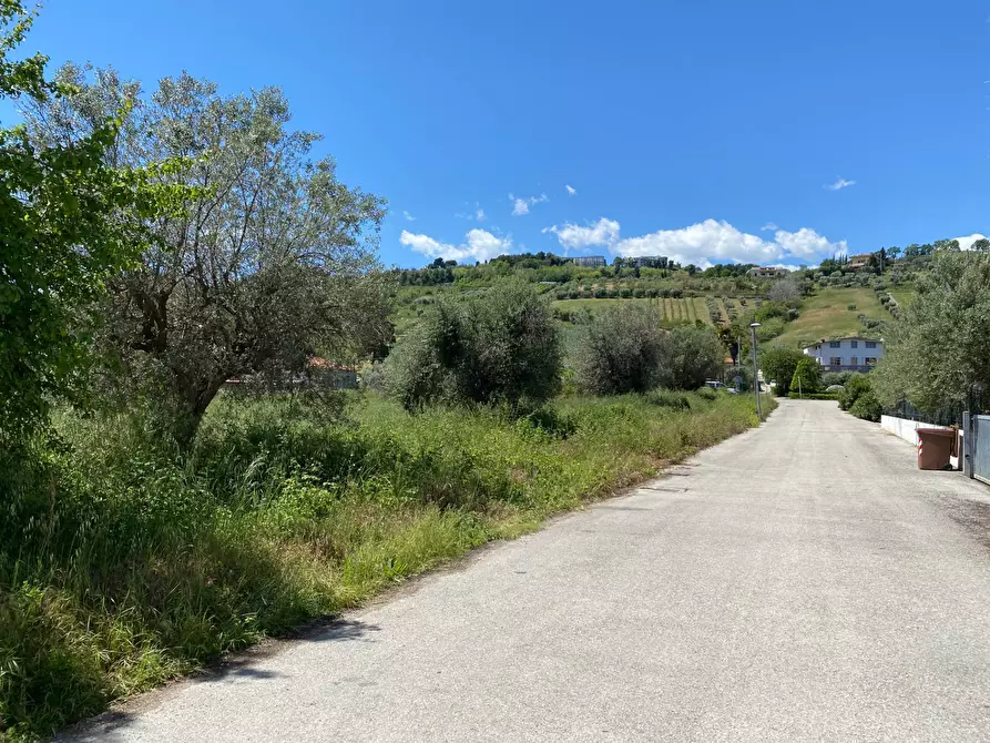 Immagine 8 di Terreno residenziale in vendita  in via dei mille 4 a Alba Adriatica