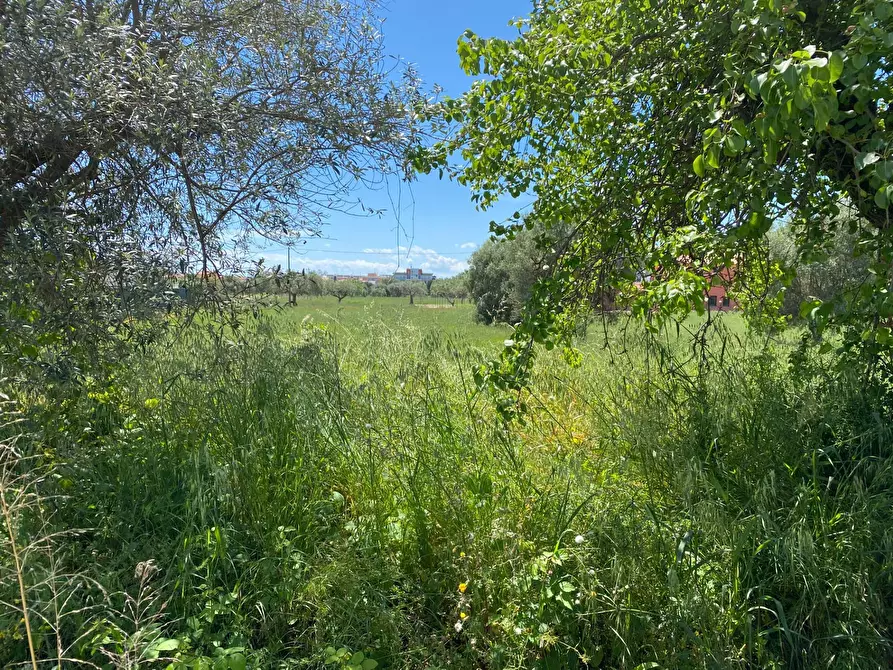 Immagine 5 di Terreno residenziale in vendita  in via dei mille 4 a Alba Adriatica