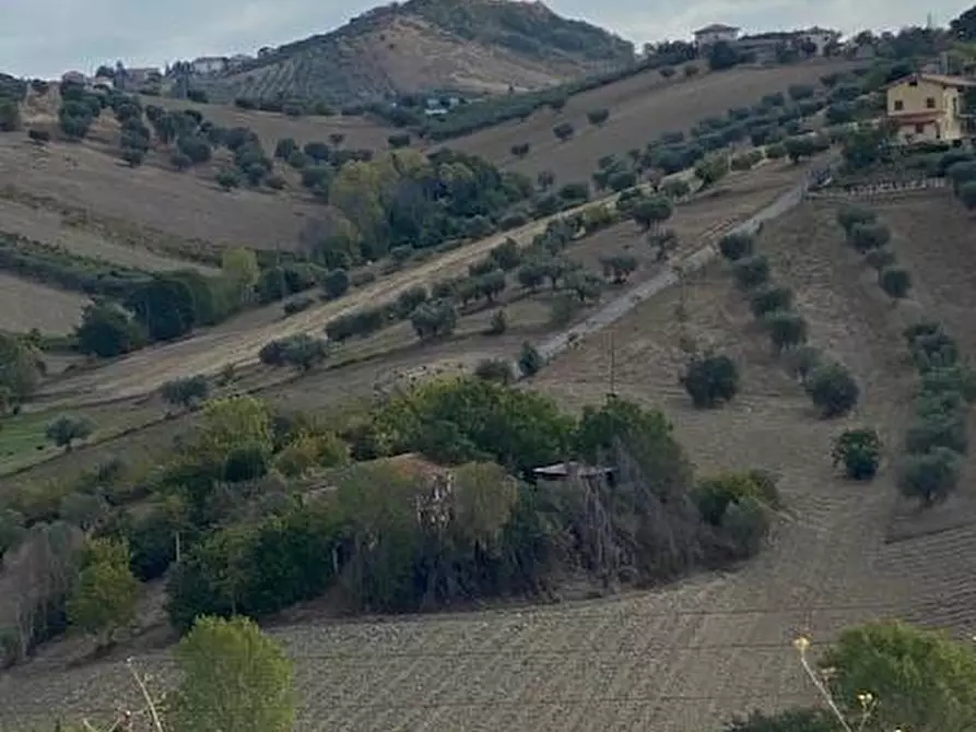 Immagine 1 di Rustico / casale in vendita  in via cavatassi 18 a Tortoreto