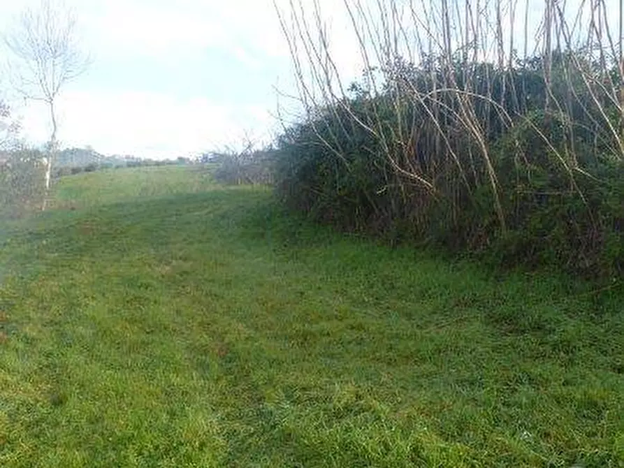 Immagine 2 di Rustico / casale in vendita  in via cavatassi 18 a Tortoreto