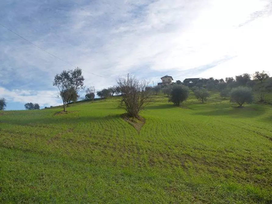 Immagine 4 di Rustico / casale in vendita  in via cavatassi 18 a Tortoreto