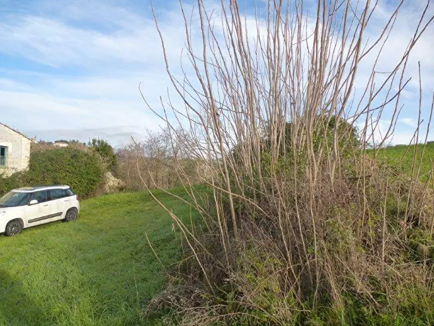 Immagine 5 di Rustico / casale in vendita  in via cavatassi 18 a Tortoreto