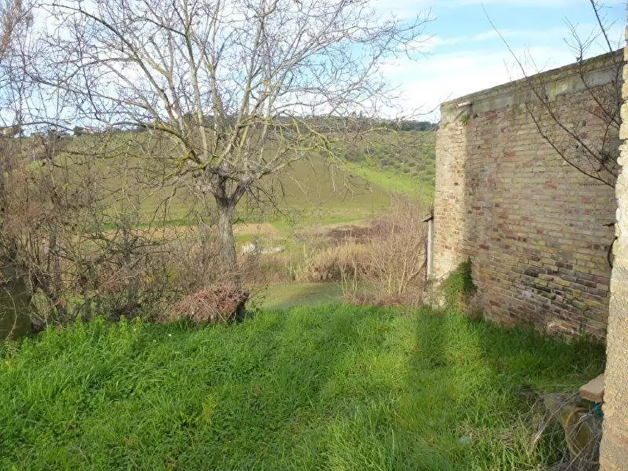 Immagine 12 di Rustico / casale in vendita  in via cavatassi 18 a Tortoreto