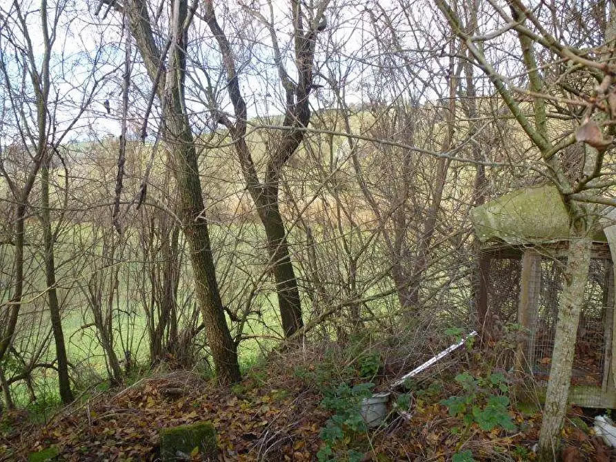 Immagine 17 di Rustico / casale in vendita  in via cavatassi 18 a Tortoreto