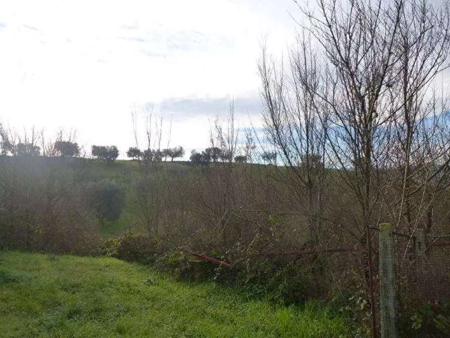 Immagine 18 di Rustico / casale in vendita  in via cavatassi 18 a Tortoreto