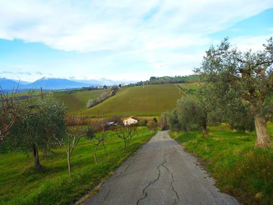 Immagine 22 di Rustico / casale in vendita  in via cavatassi 18 a Tortoreto