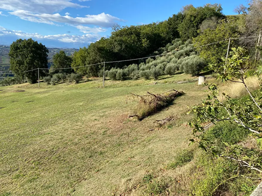 Immagine 4 di Terreno residenziale in vendita  in VIA COSTA DEL MONTE a Tortoreto