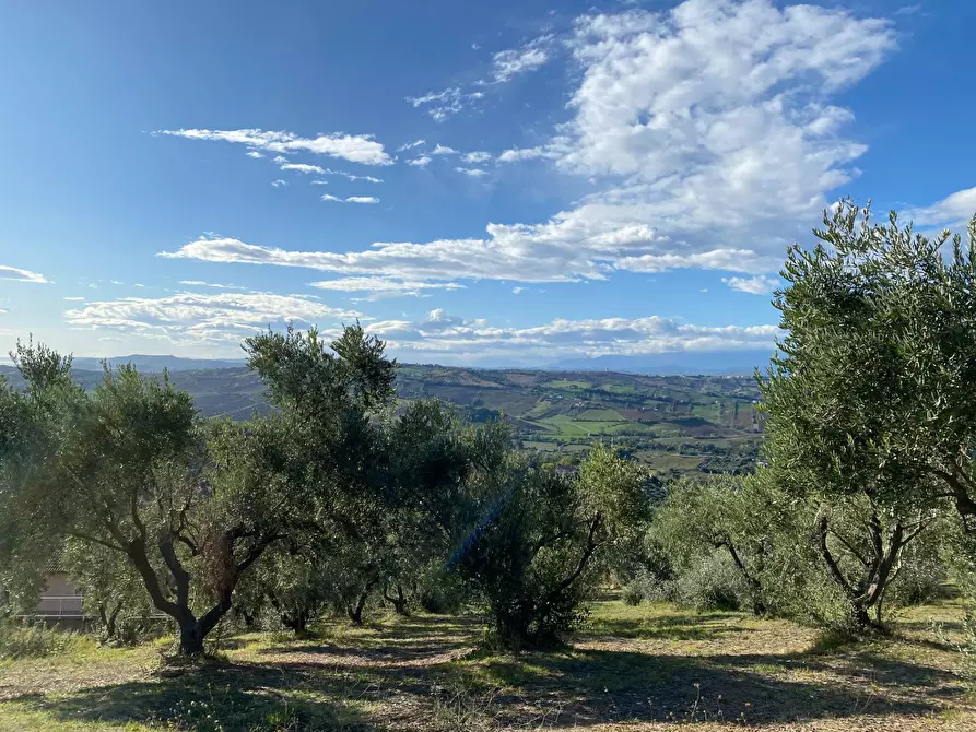 Immagine 10 di Terreno residenziale in vendita  in VIA COSTA DEL MONTE a Tortoreto