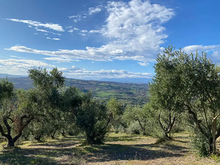 Immagine 11 di Terreno residenziale in vendita  in VIA COSTA DEL MONTE a Tortoreto