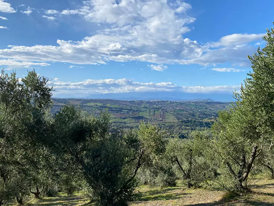 Immagine 14 di Terreno residenziale in vendita  in VIA COSTA DEL MONTE a Tortoreto