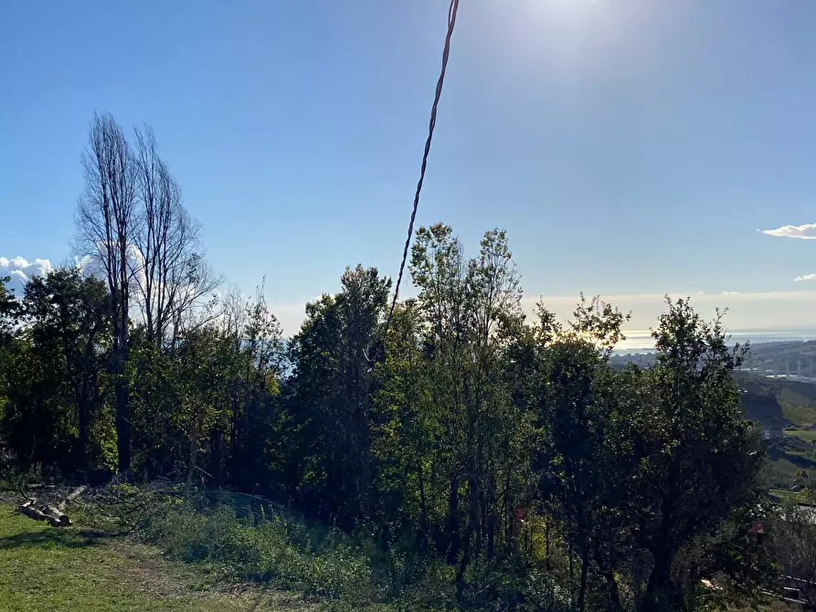 Immagine 15 di Terreno residenziale in vendita  in VIA COSTA DEL MONTE a Tortoreto