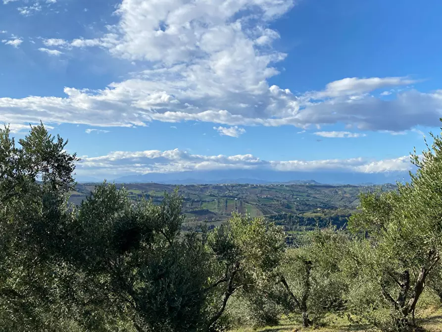 Immagine 16 di Terreno residenziale in vendita  in VIA COSTA DEL MONTE a Tortoreto