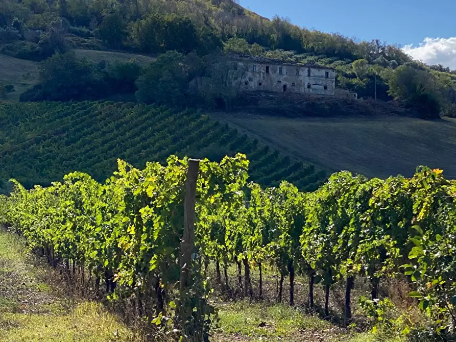 Immagine 1 di Casa indipendente in vendita  in via piane tronto a Ancarano
